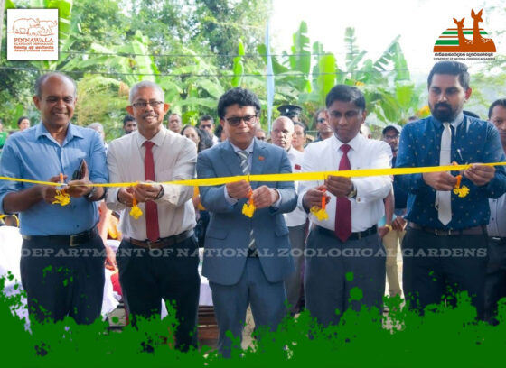 Pinnawala Elephant Orphanage – 51 වන සංවත්සරය සමරයි.