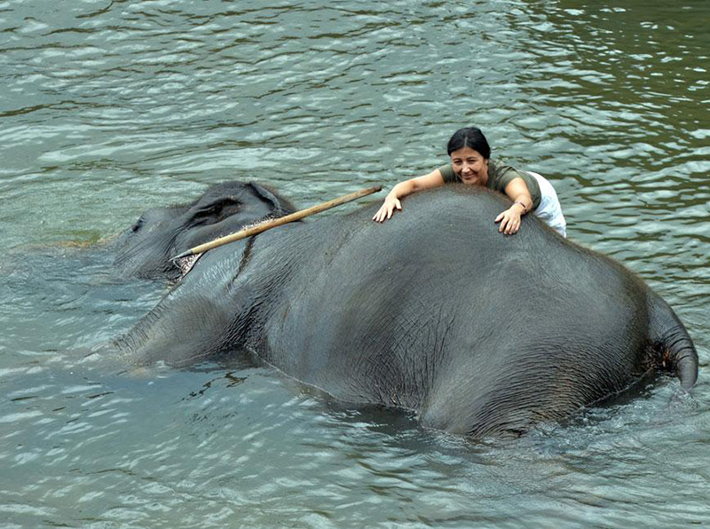 Caretaker Interactions