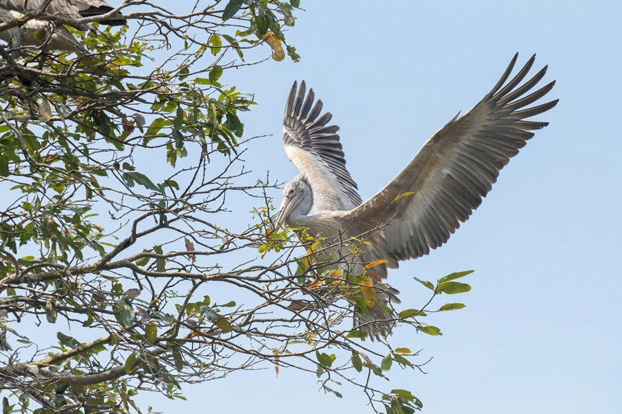 Dehiwala-zoo-gallery-6