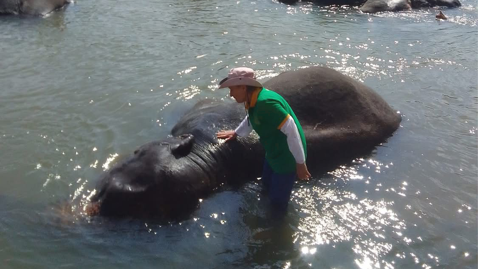 pinnalawalaOr-slider-image-5