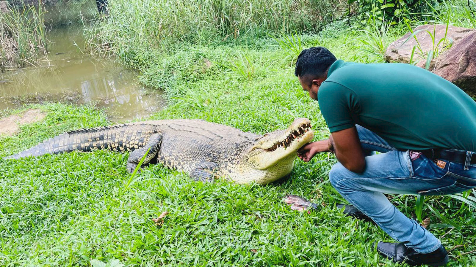 pinnalawalaZoo-slider-image-4