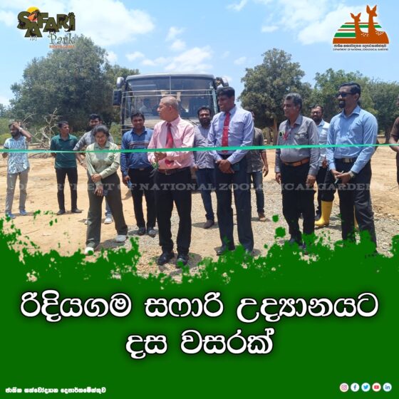 රිදියගම සෆාරි උද්‍යානයට දස වසරක්!
