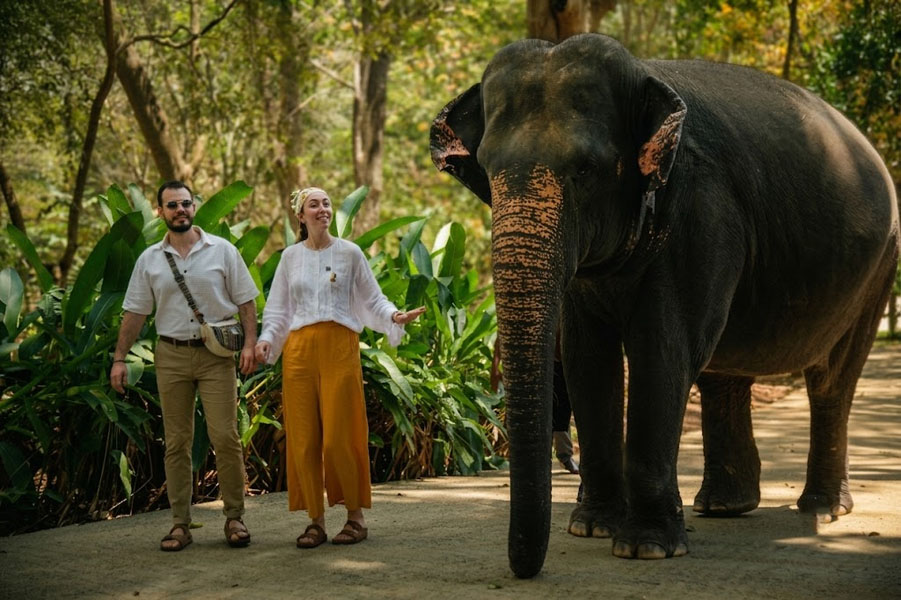 Pinnawala Elephant Orphanage