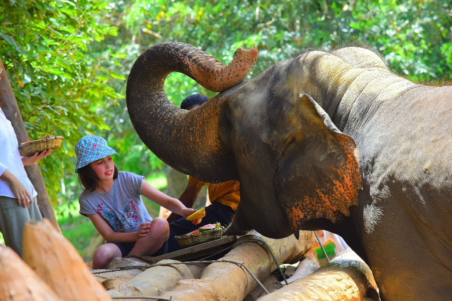 Pinnawala Elephant Orphanage-5