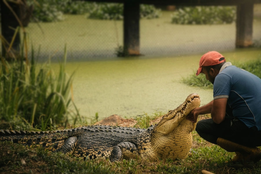 Pinnawala Zoo-18