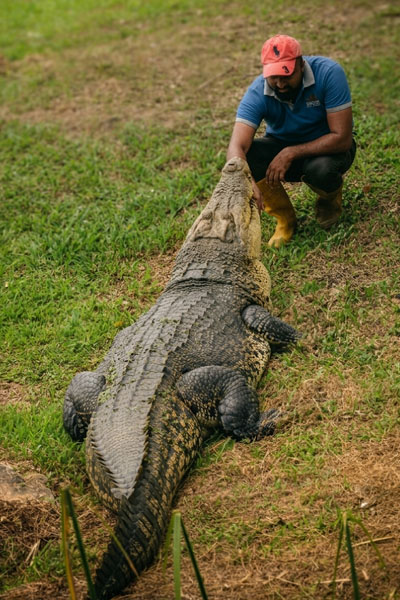 Pinnawala Zoo-19