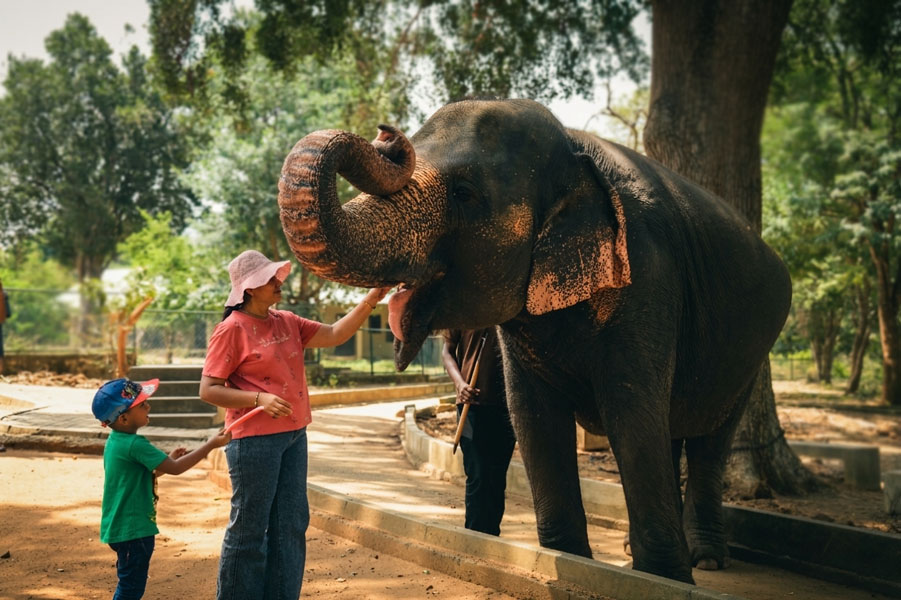 Ridiyagama-gallery-1