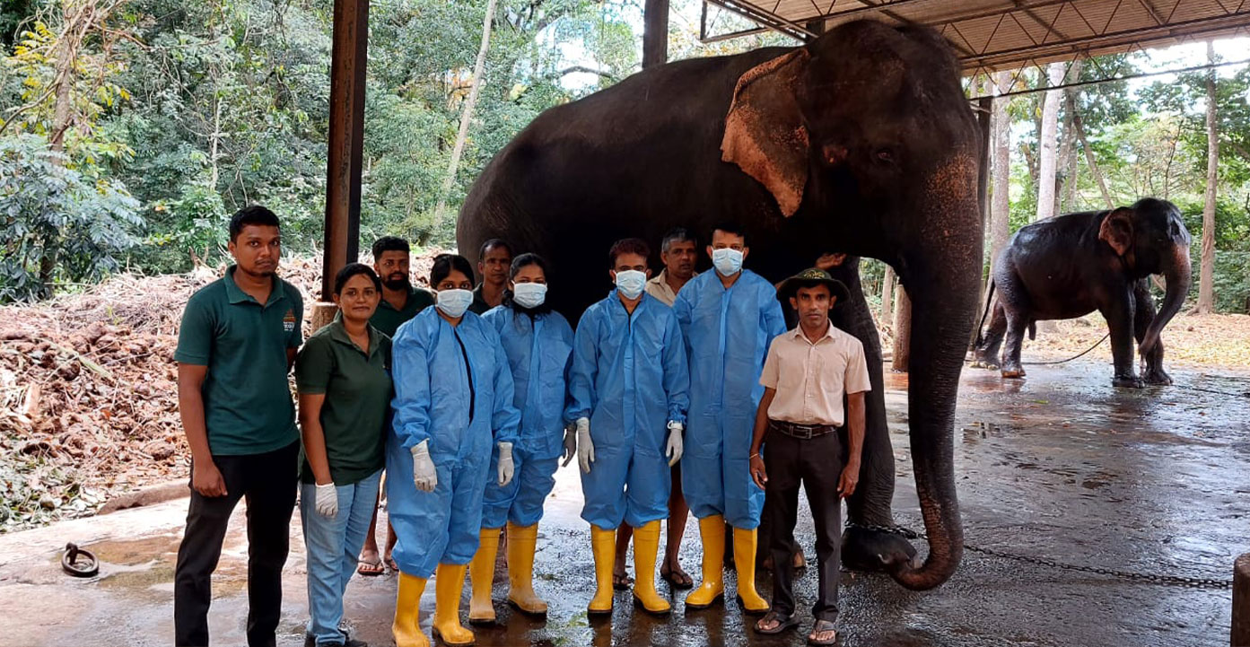 Veterinary-Excellence-2